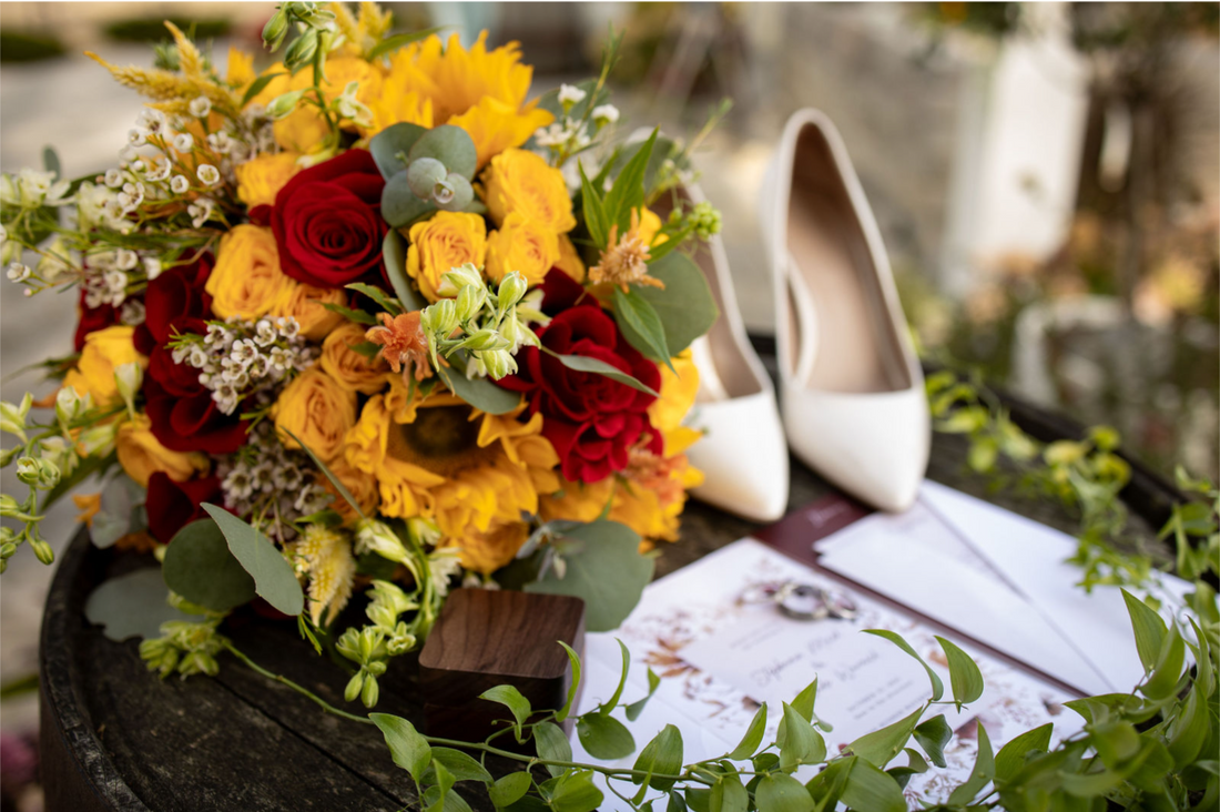 Stephanie - The Hudson Waterfront