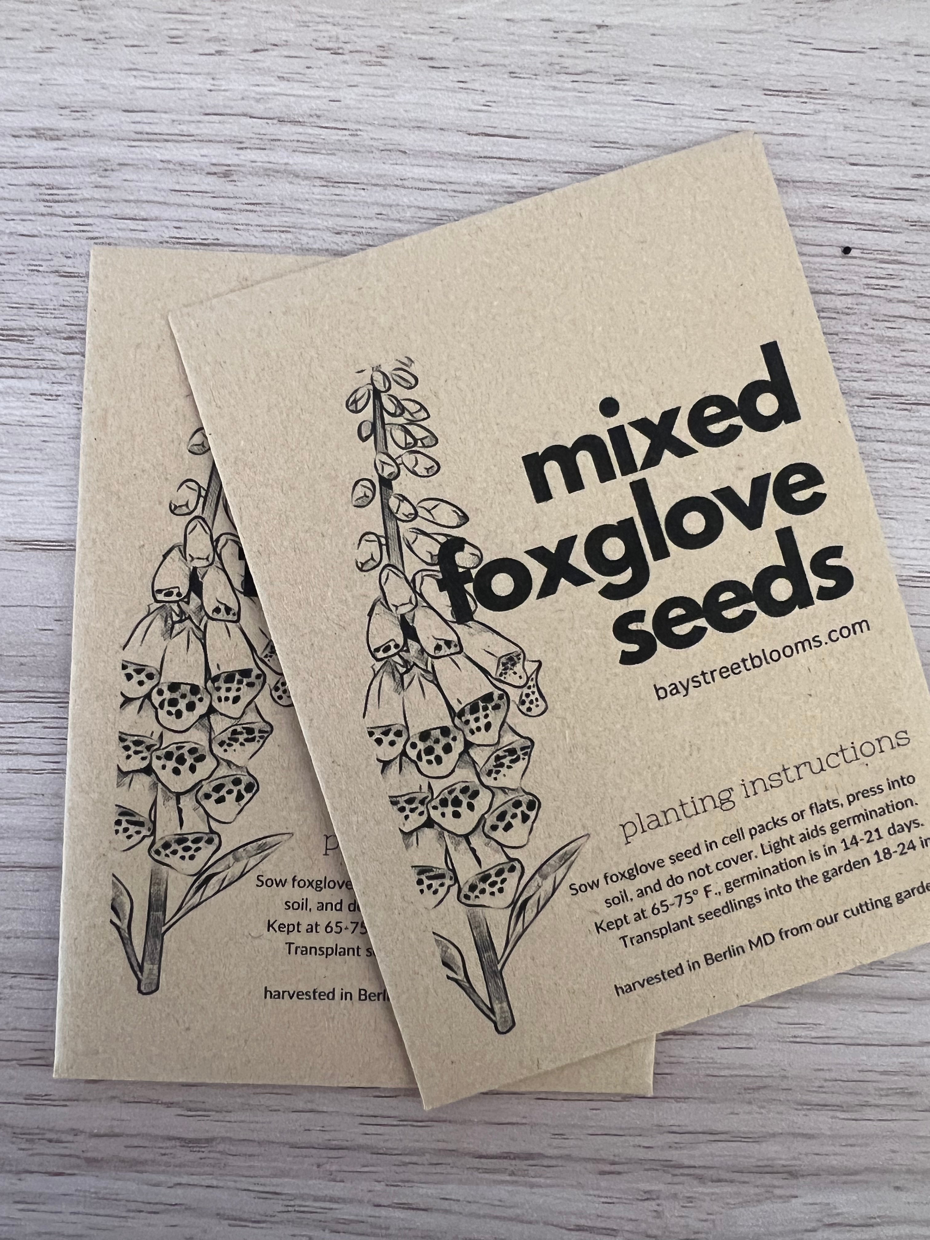 Foxglove Seed Packet - Mixed