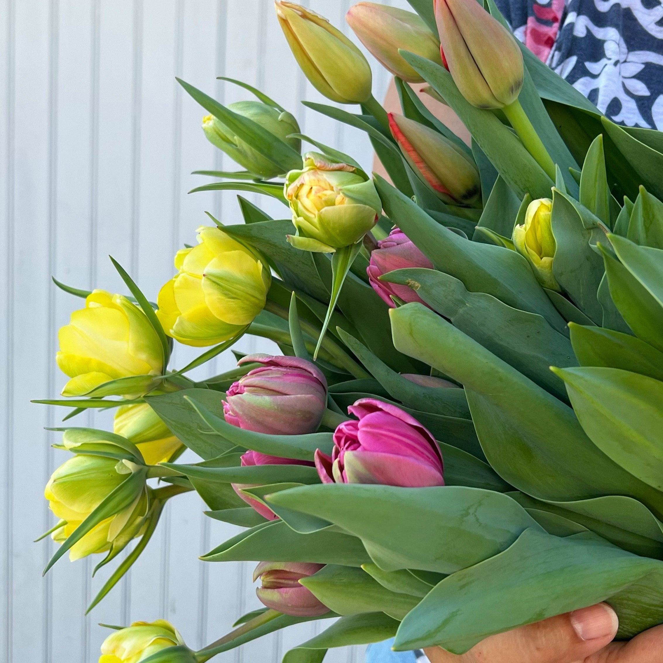 First Blooms Flower Subscription 2025 - 4 Weeks