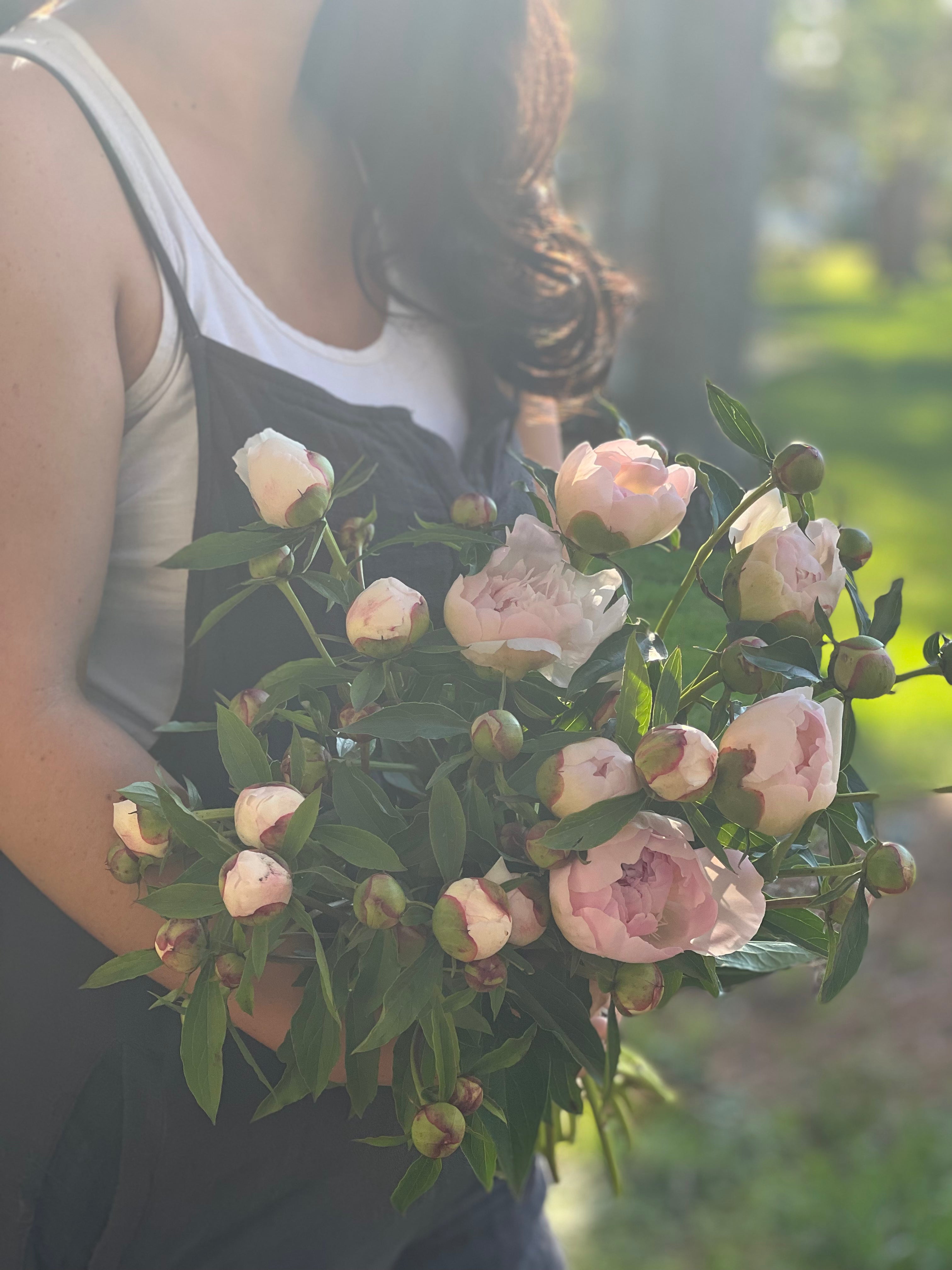 Spring Flower Subscription 2025 - 4 Weeks - Starting in May